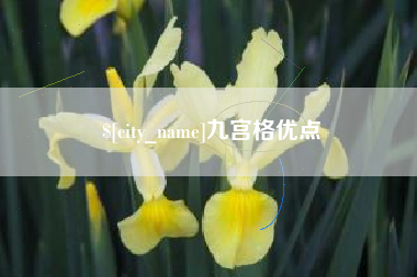 梧州九宫格优点