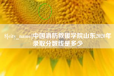 梧州中国消防救援学院山东2020年录取分数线是多少