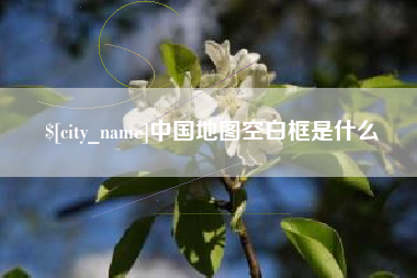 梧州中国地图空白框是什么