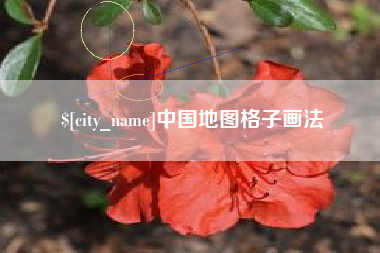 梧州中国地图格子画法