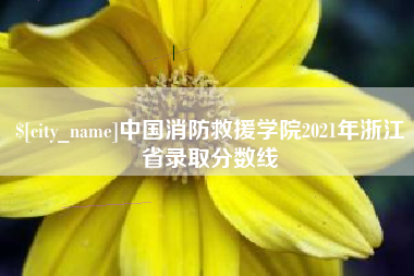 梧州中国消防救援学院2021年浙江省录取分数线