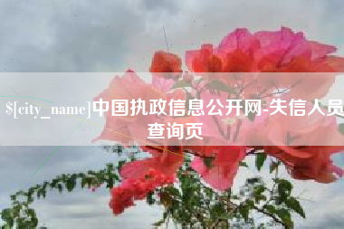 梧州中国执政信息公开网-失信人员查询页