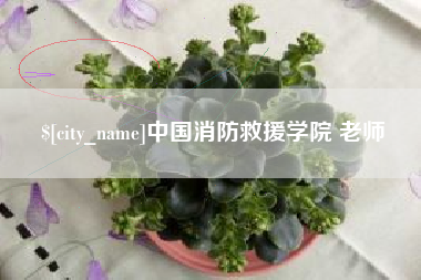 梧州中国消防救援学院 老师