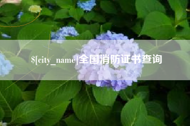 梧州全国消防证书查询