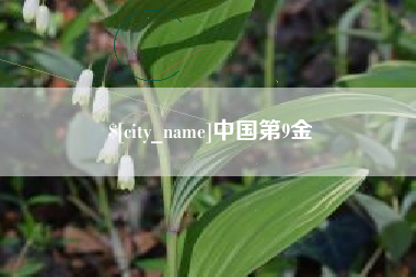 梧州中国第9金