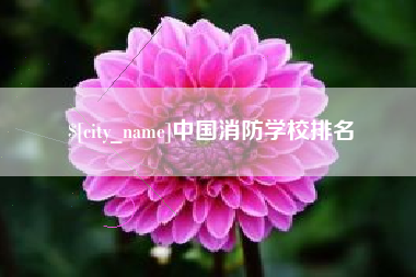 梧州中国消防学校排名