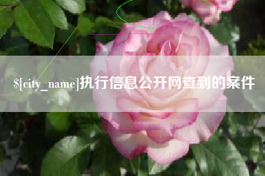 梧州执行信息公开网查到的案件