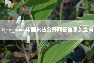 梧州中国执法公开网征信怎么查询