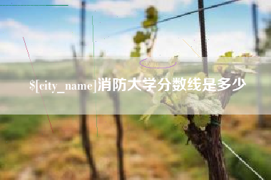 梧州消防大学分数线是多少