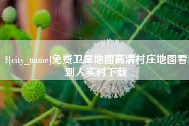 梧州免费卫星地图高清村庄地图看到人实时下载