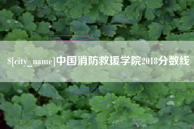 梧州中国消防救援学院2018分数线
