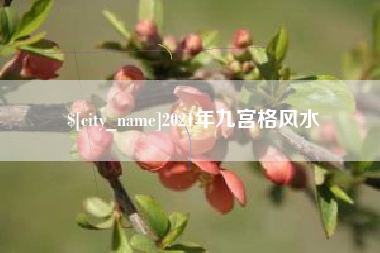 梧州2021年九宫格风水