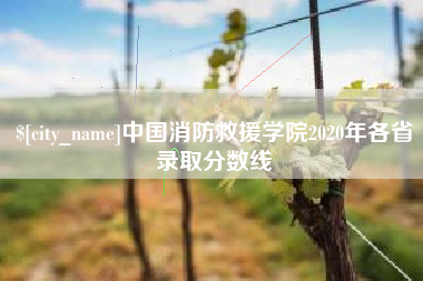 梧州中国消防救援学院2020年各省录取分数线