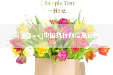 梧州中国执行网信息官网