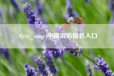 梧州中国消防报名入口