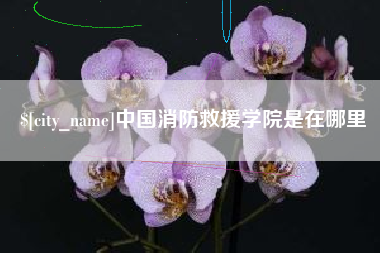 梧州中国消防救援学院是在哪里