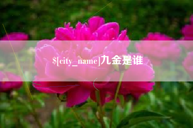 梧州九金是谁