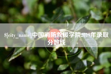 梧州中国消防救援学院2019年录取分数线