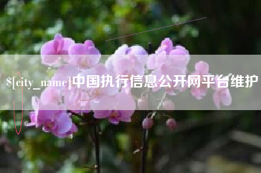 梧州中国执行信息公开网平台维护