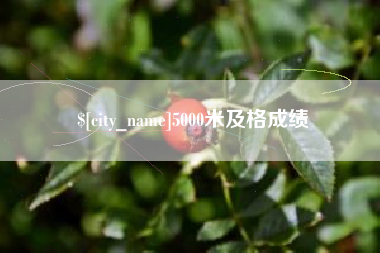 梧州5000米及格成绩