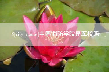 梧州中国消防学院是军校吗