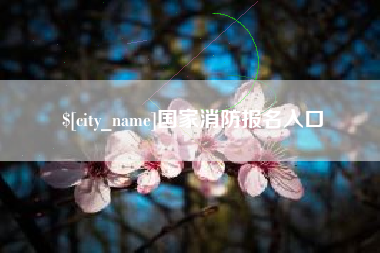 梧州国家消防报名入口