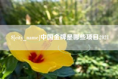 梧州中国金牌是哪些项目2021