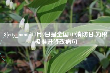梧州11月9日是全国119消防日,为积极推进修改病句