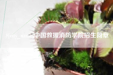 梧州中国救援消防学院招生简章