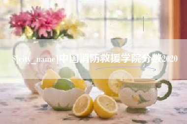 梧州中国消防救援学院分数2020