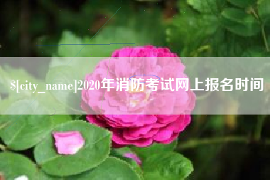 梧州2020年消防考试网上报名时间