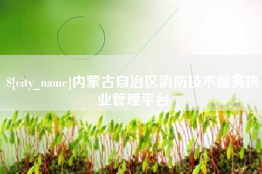 梧州内蒙古自治区消防技术服务执业管理平台
