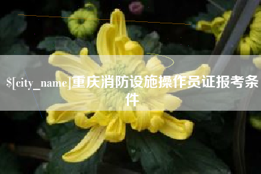 梧州重庆消防设施操作员证报考条件