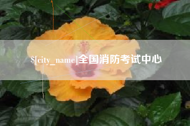 梧州全国消防考试中心