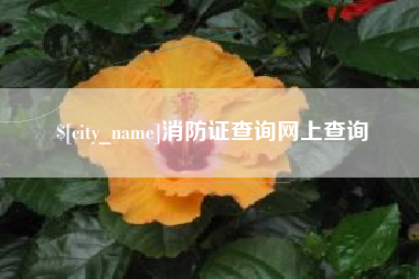 梧州消防证查询网上查询