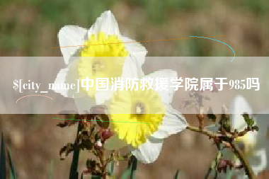 梧州中国消防救援学院属于985吗