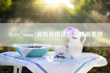 梧州消防资格证怎么查询系统