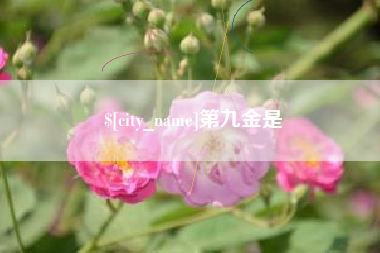 梧州第九金是