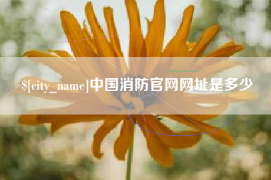 梧州中国消防官网网址是多少