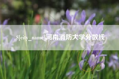 梧州河南消防大学分数线
