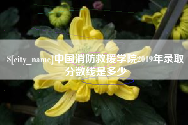 梧州中国消防救援学院2019年录取分数线是多少