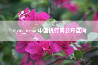 梧州中国执行网公开查询