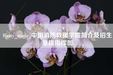 梧州中国消防救援学院简介及招生章程指挥部