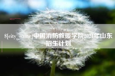 梧州中国消防救援学院2021年山东招生计划
