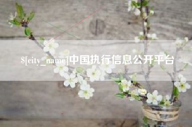 梧州中国执行信息公开平台