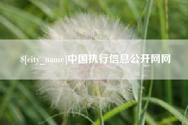 梧州中国执行信息公开网网