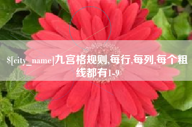 梧州九宫格规则,每行,每列,每个粗线都有1-9
