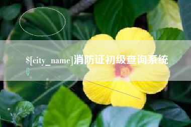 梧州消防证初级查询系统