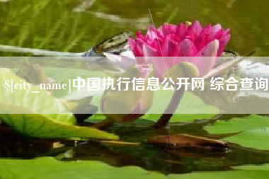 梧州中国执行信息公开网 综合查询