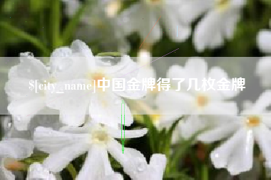 梧州中国金牌得了几枚金牌